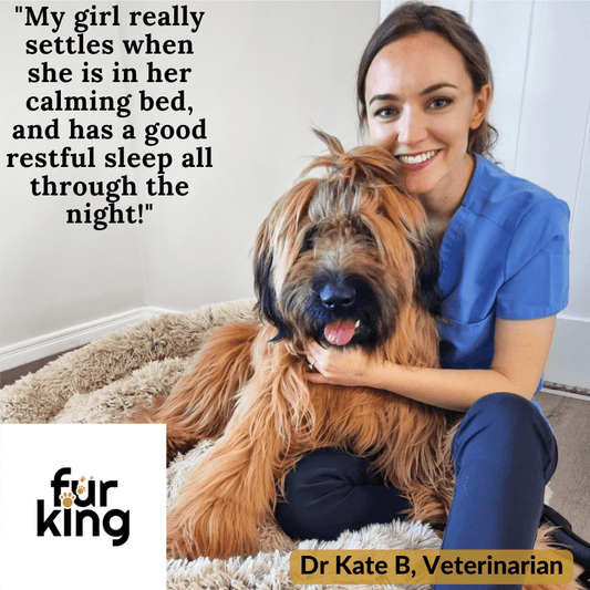 5 Best Calming Dog Beds Australia - Buyers Guide 2023
