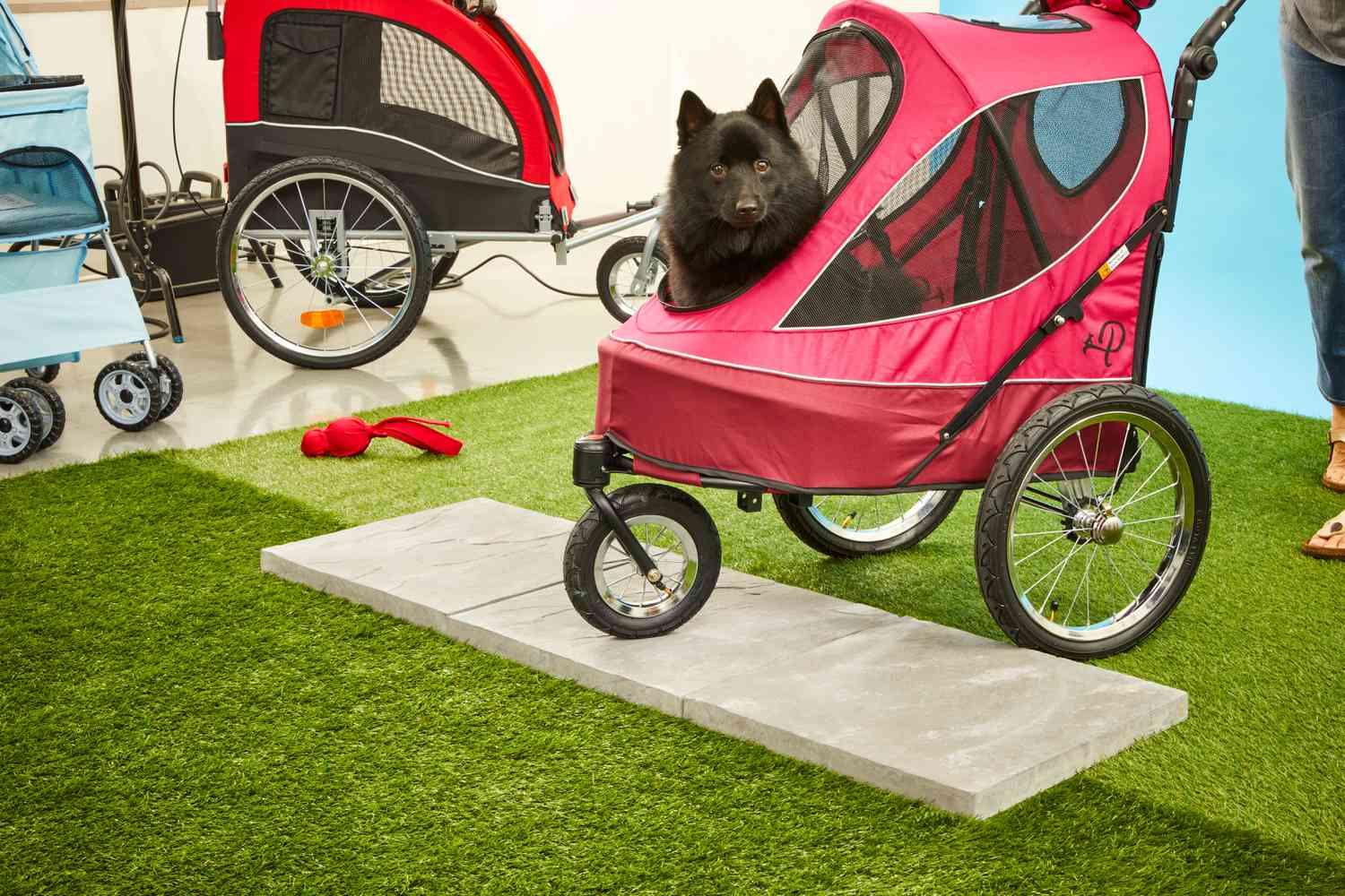 Dog fashion running stroller