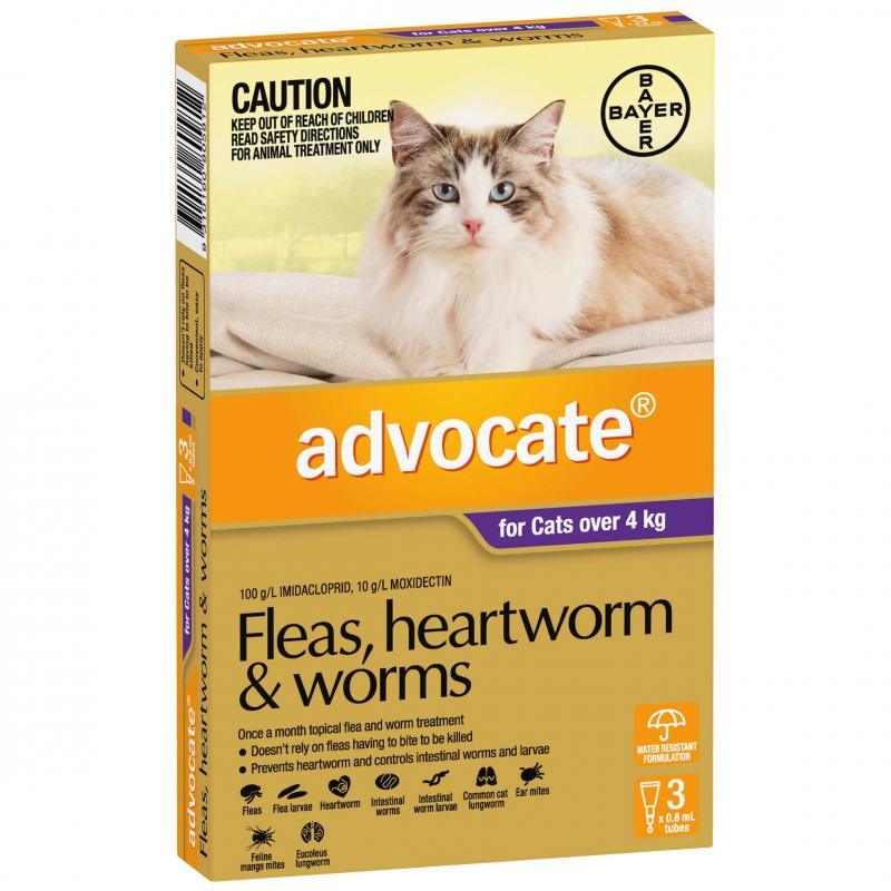 Bayer worm medicine for cats best sale