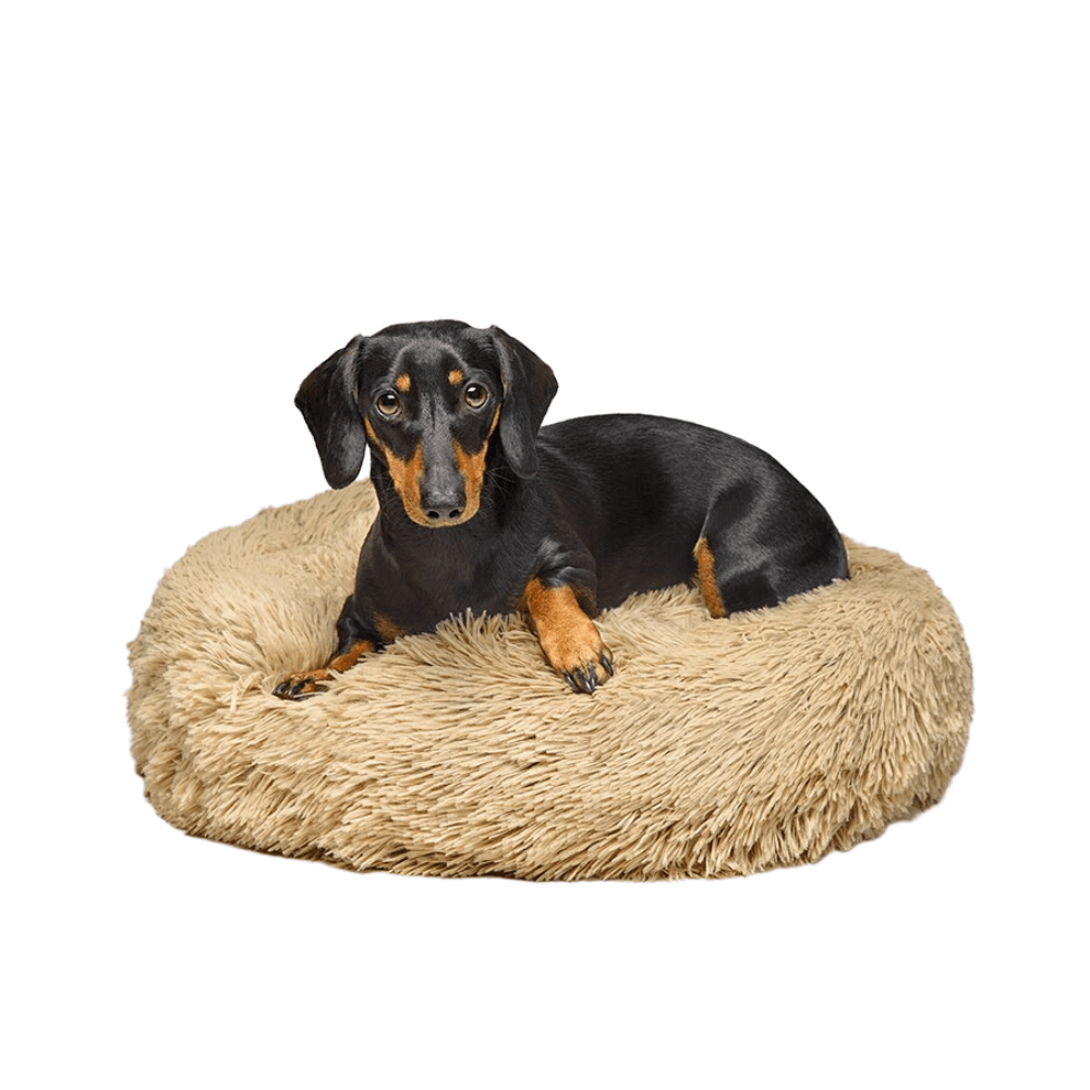 Fur King "Aussie" Calming Dog Bed - Pet Parlour Australia