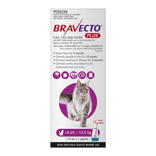 Bravecto Cat Plus 500 Mg 6.25 - 12.5Kg Purple