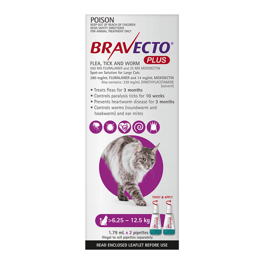 Bravecto Cat Plus 500 Mg 6.25 - 12.5Kg Purple (2Pk)