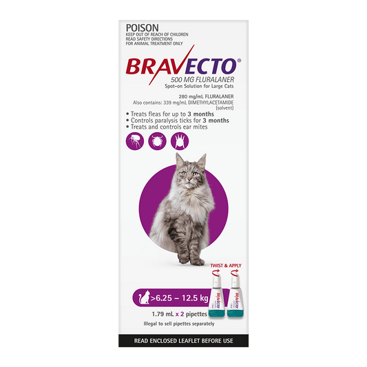 Bravecto Cat Spot On 500G Purple >6.25-12.5Kg