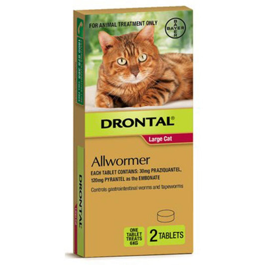 Drontal Cat Ellipsoid 6Kg 6X8 Tabs