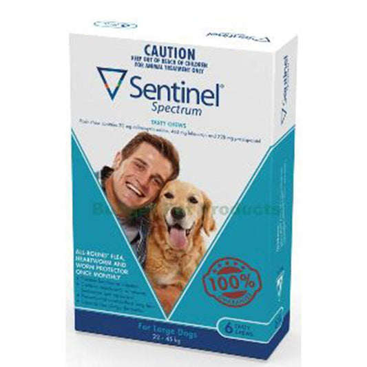 Sentinel Large Dog 22 - 45Kg Blue 6 Chews