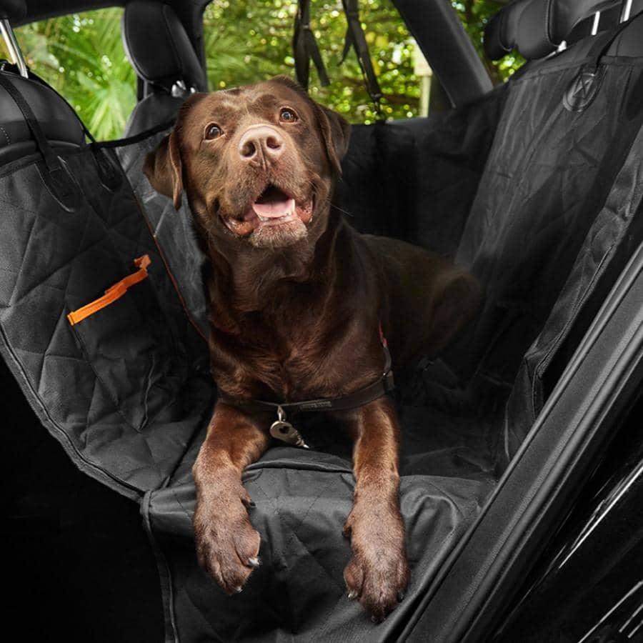 Dog car store seat covers australia