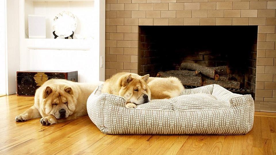 Dog Bed Reviews - Pet Parlour Australia