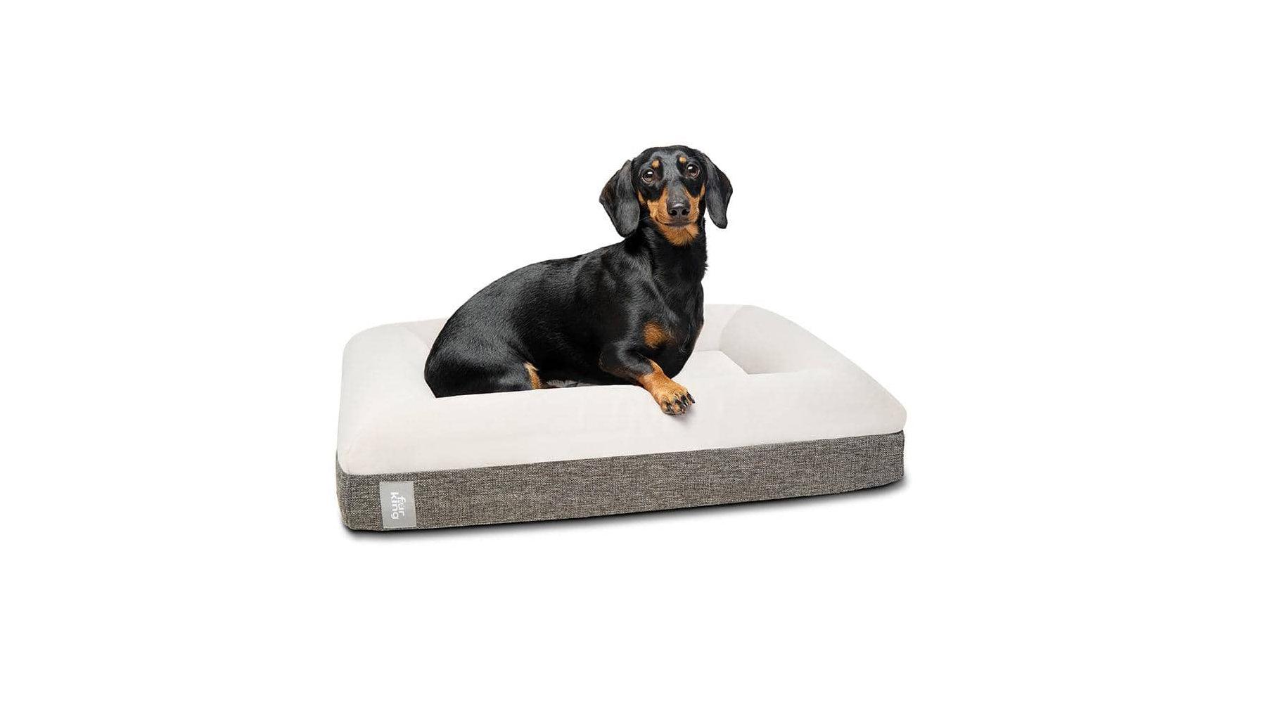 The Secret to a Happy Dog: Orthopaedic Beds and Their Numerous Benefits - Pet Parlour Australia