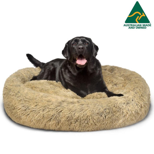 5 Best Dog Beds Australia - Buyers Guide 2024