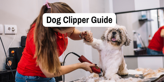 Best Dog Clippers Australia - 5 Tested In Our 2024 Buyers Guide - Pet Parlour Australia