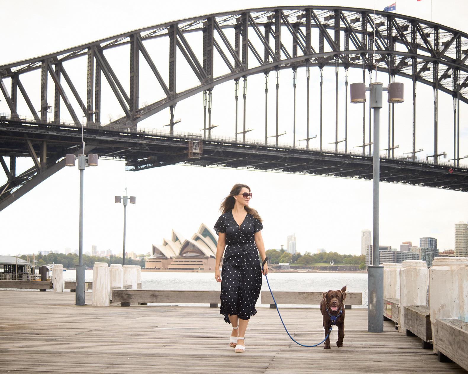 5 Best Dog Harnesses Australia - Buyers Guide 2024 - Pet Parlour Australia