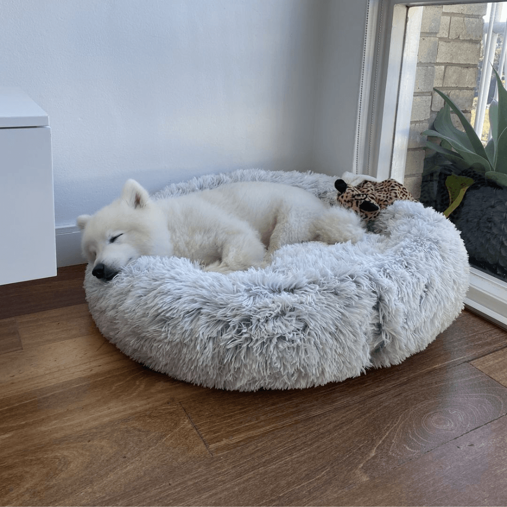 Calming Dog Beds - Pet Parlour Australia