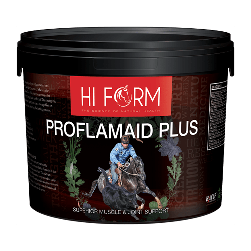 Hi Form Proflam Aid Plus 2Kg