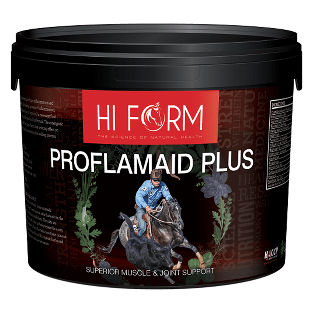 Hi Form Proflam Aid Plus 500G