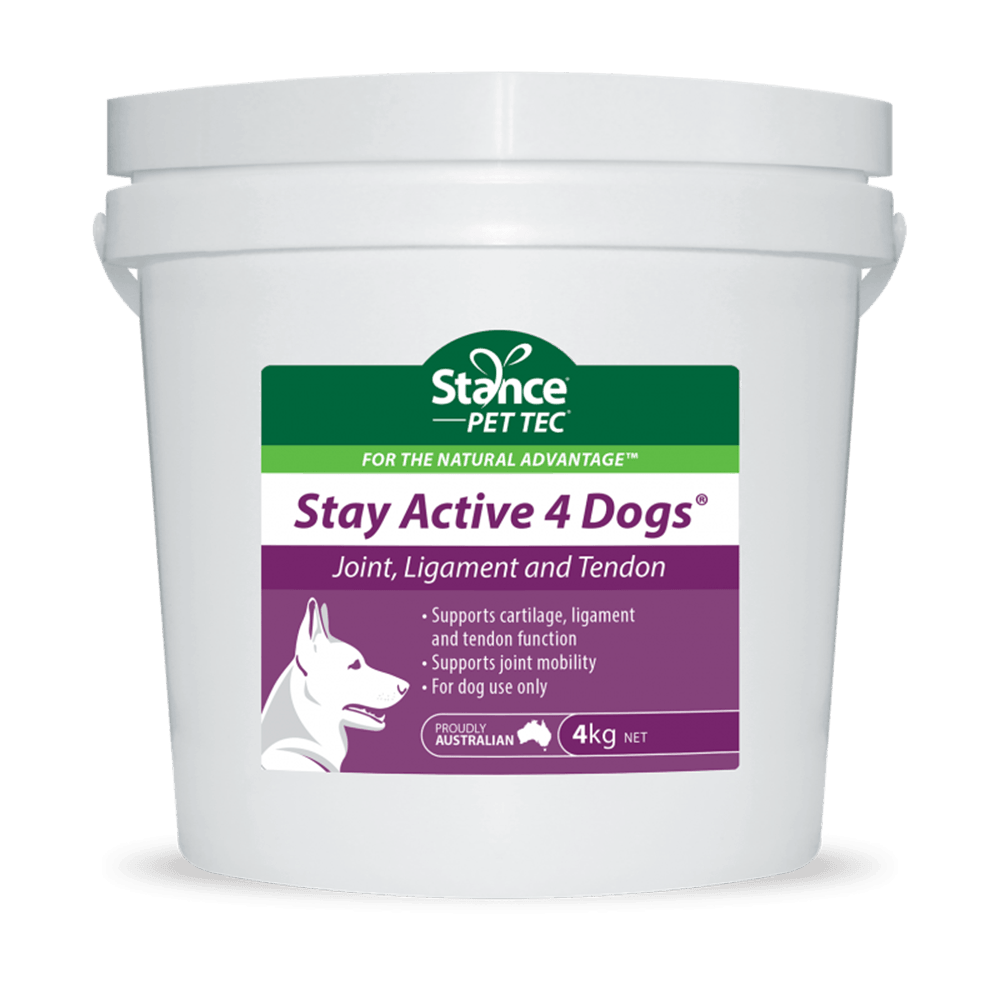 Pettec Stay Active 4 Dogs 4Kg