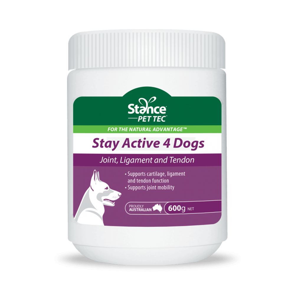 Pettec Stay Active 4 Dogs 600G