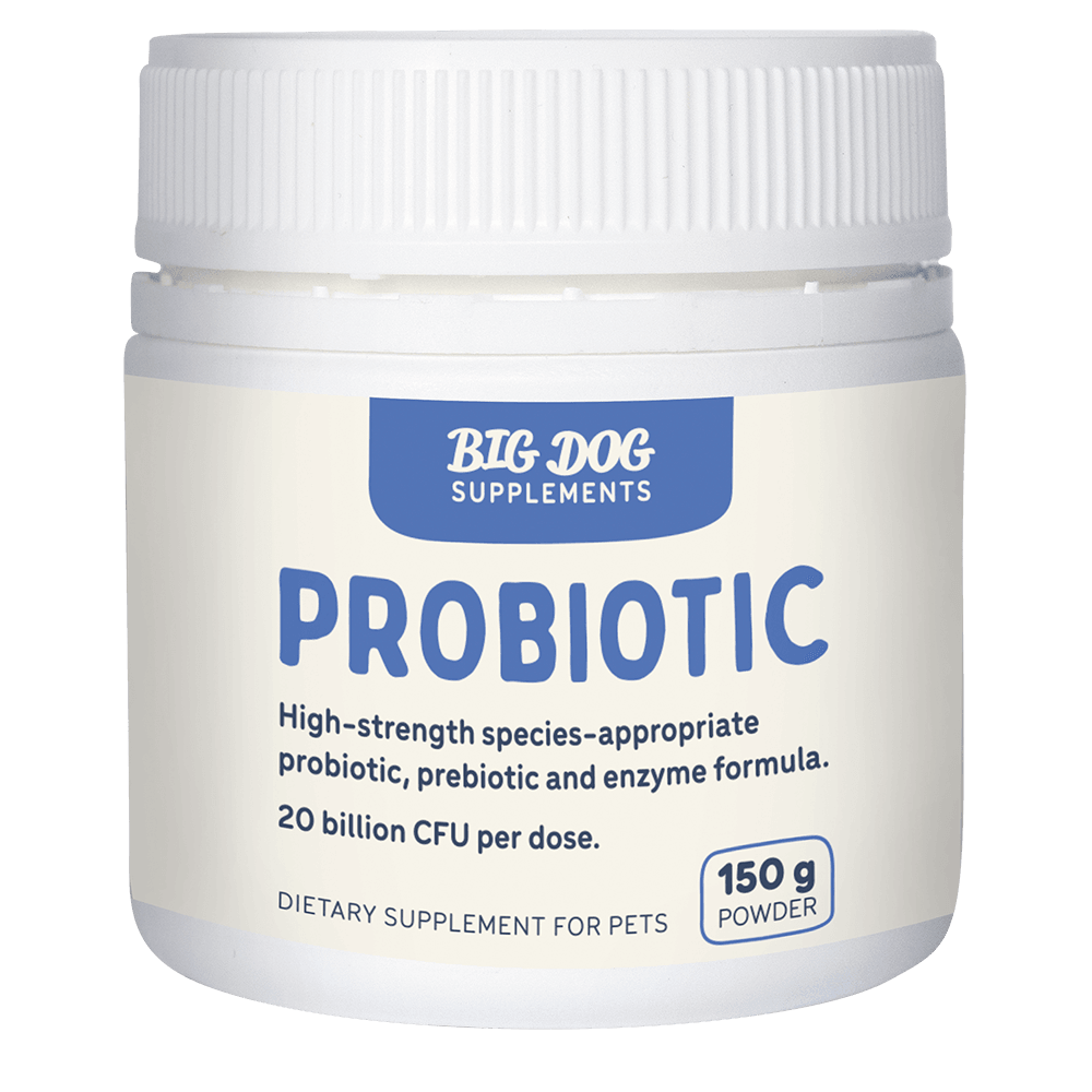 Big Dog Probiotic 150G