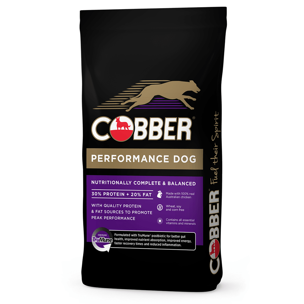 Cobber Performance Dog 20Kg -36