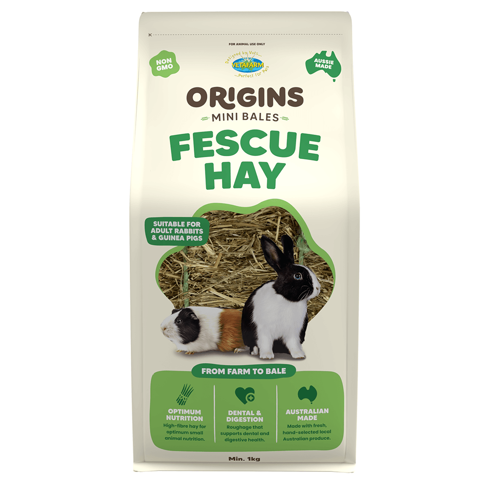 Vetafarm Origins Mini Bale Fescue Hay 1Kg