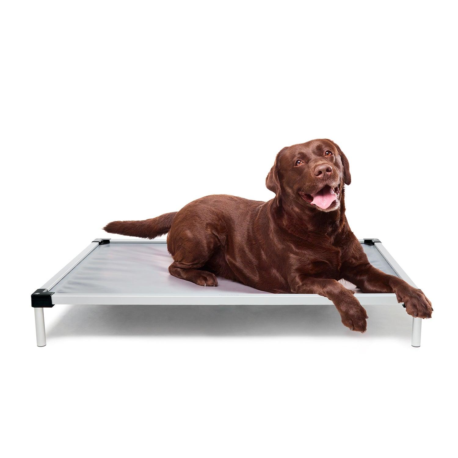 Chew Proof Dog Bed | Fur King Tough L/XL - Pet Parlour Australia