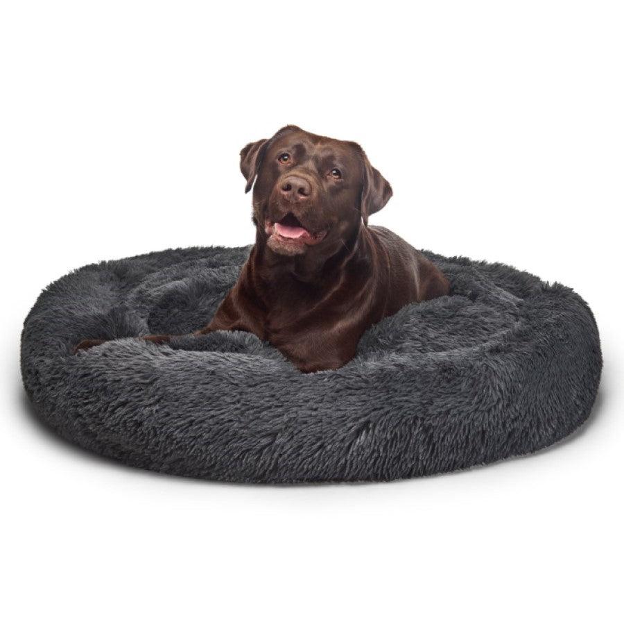 Dog hotsell bed aus