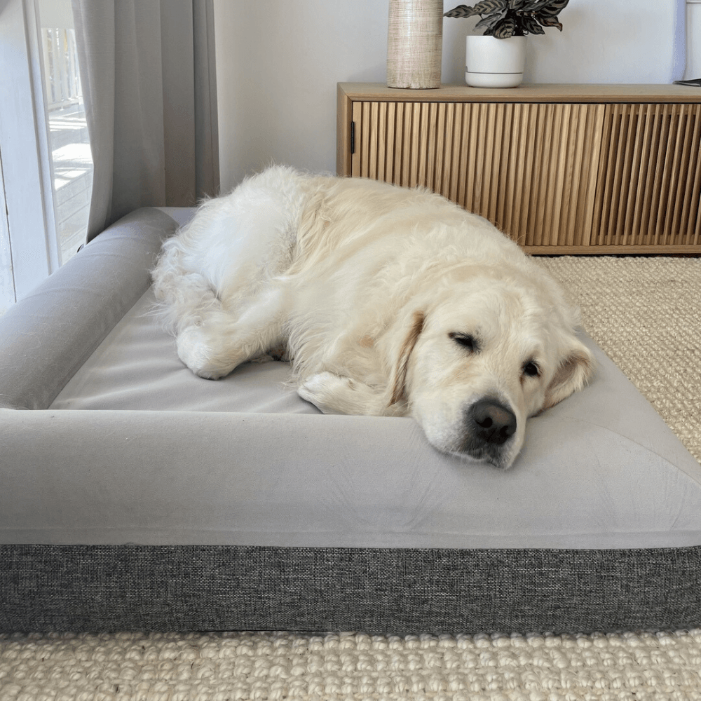 Fur King "Ortho" Orthopedic Dog Bed - Pet Parlour Australia