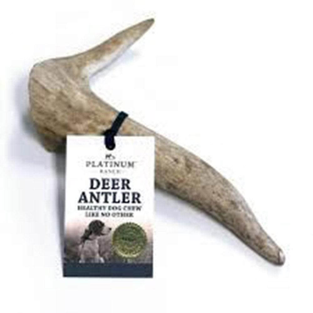 Platinum Ranch Medium Deer Antler Single