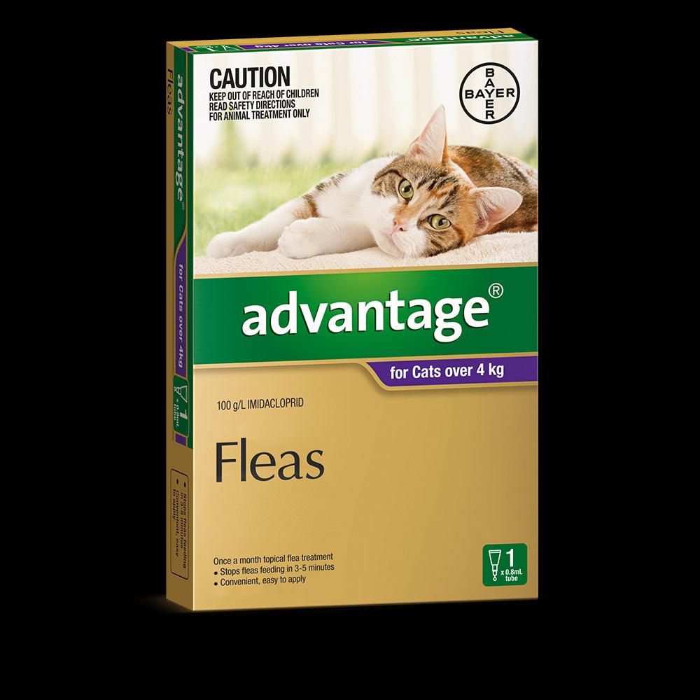 Advantage Cat 4Kg Plus Large 1'S Purple