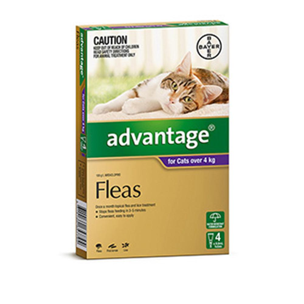 Advantage Cat 4Kg Plus Large 4'S Purple