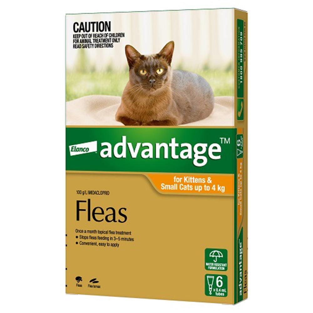 Advantage Cat 0-4Kg Small 6'S Orange