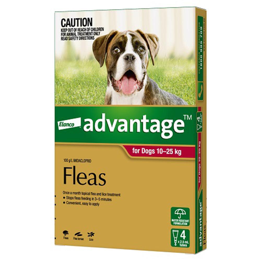 Advantage Dog 10-25Kg Large 4'S Red