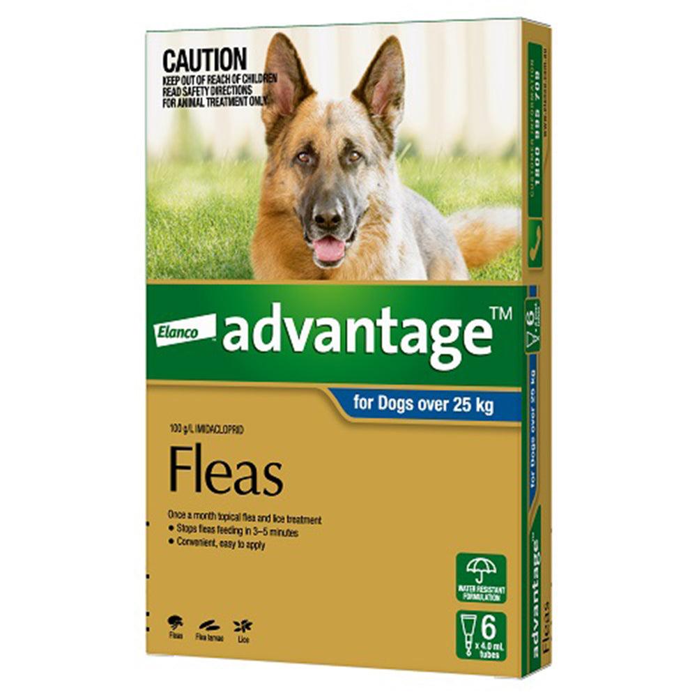 Advantage Dog 25Kg Plus X/Large 6'S Blue