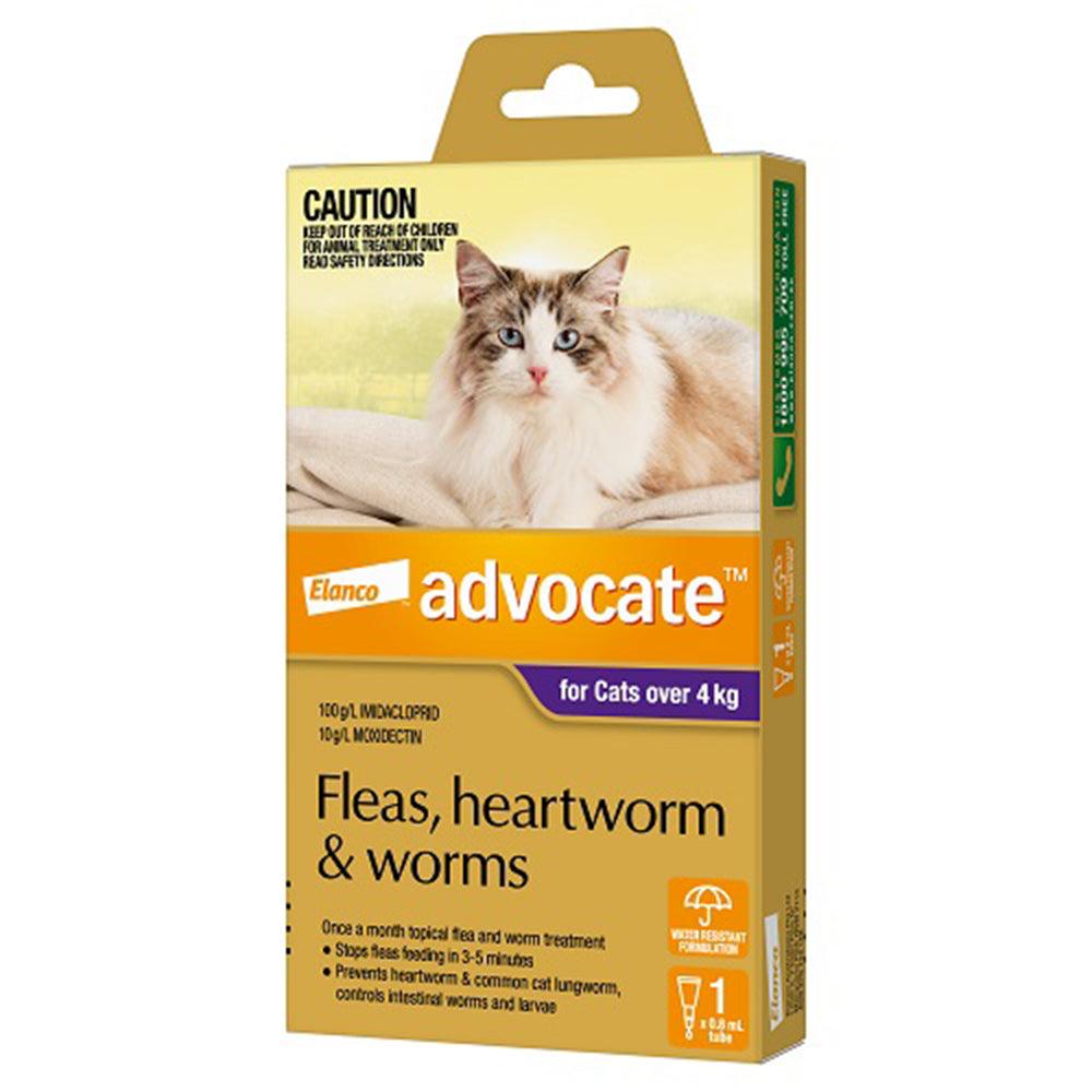 Advocate Cat Bayer 4Kg Plus Large 1'S Purple