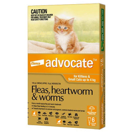 Advocate Cat Bayer 0-4Kg Small 6'S