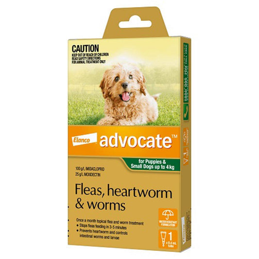 Advocate Dog Bayer 0-4Kg Small 1'S Green