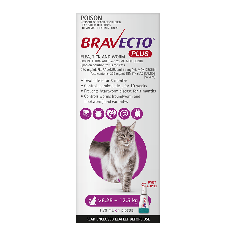 Bravecto Cat Plus 500 Mg 6.25 - 12.5Kg Purple