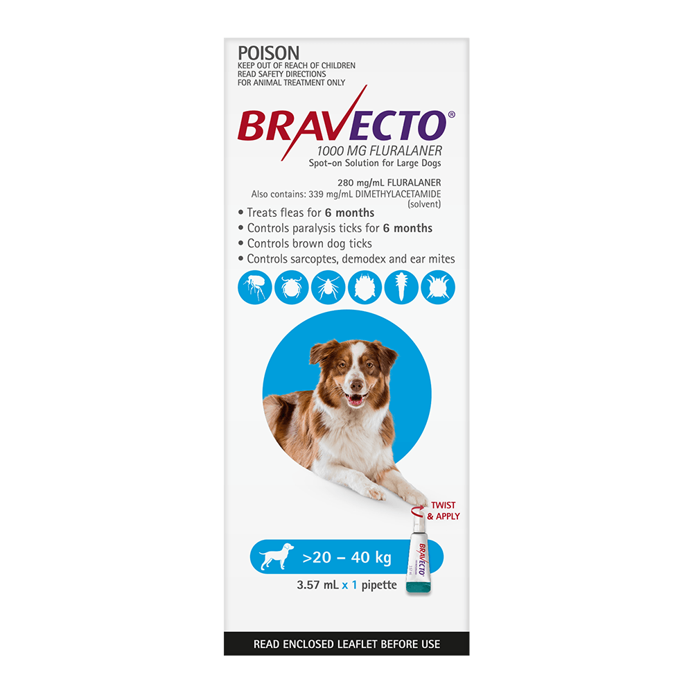 Bravecto Dog Spot On 1000Mg Blue >20-40Kg