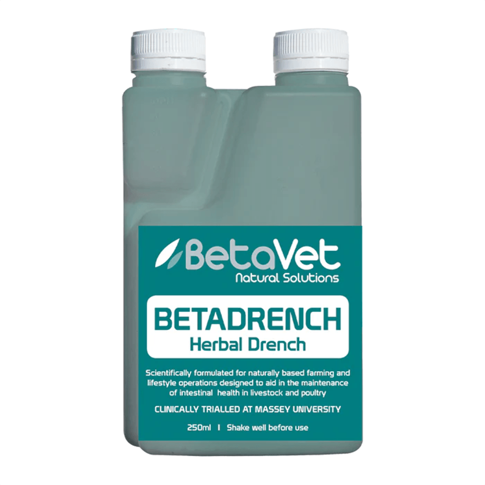 Betavet Betadrench 250Ml *Spec Ord*