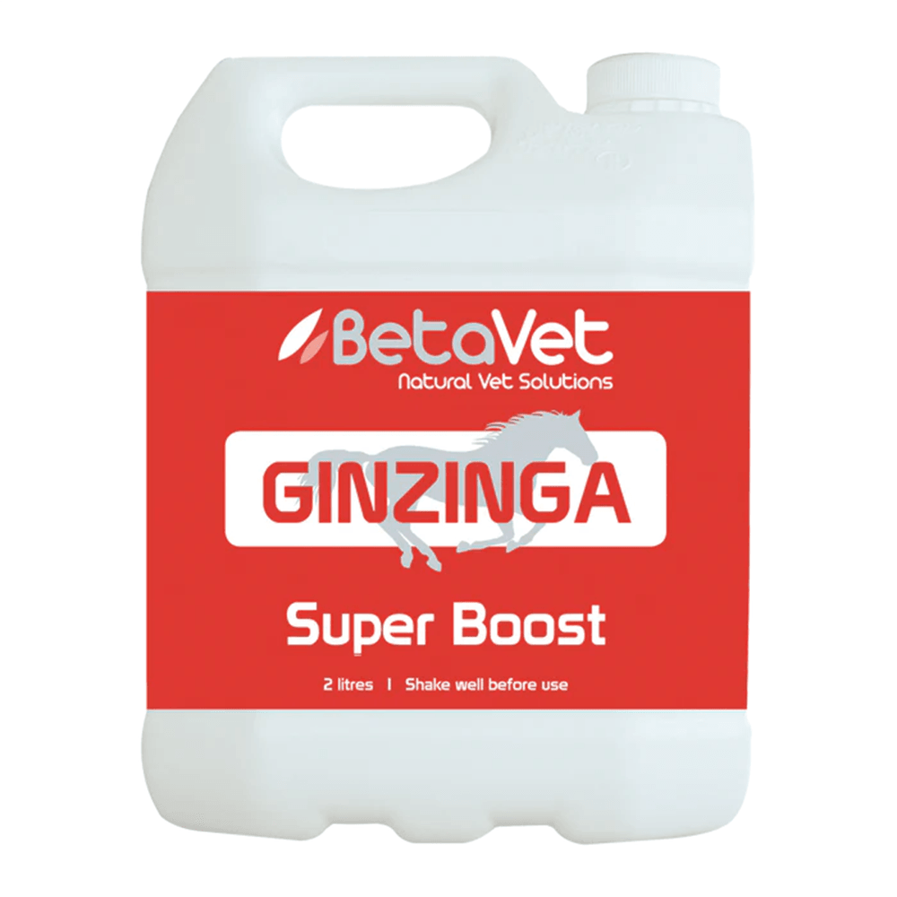 Betavet Ginzinga 2 Litre *Spec Ord*