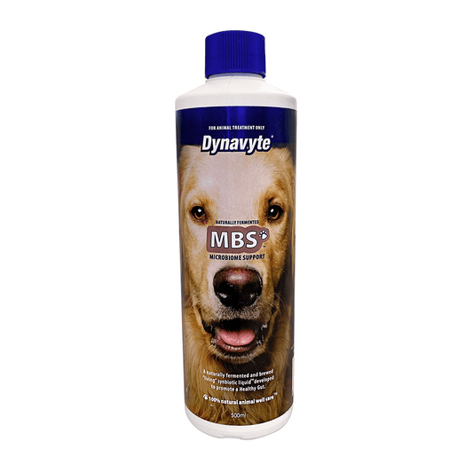 Dynavyte Dog Microbiome Support 500Ml