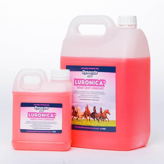 Dynavyte Equine Joint Lube Luronica 1L