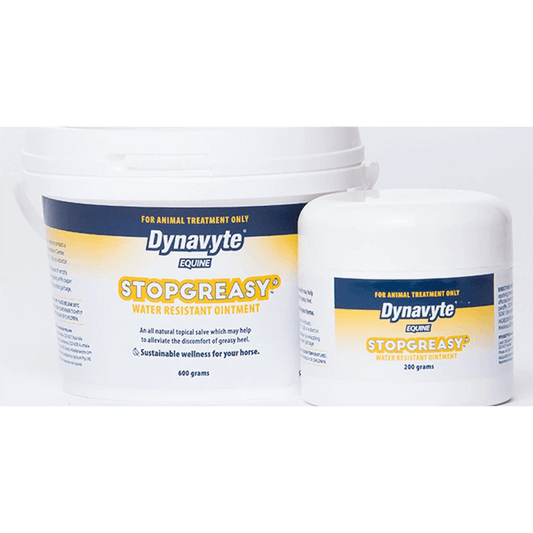 Dynavyte Equine Stop Greasy 200G
