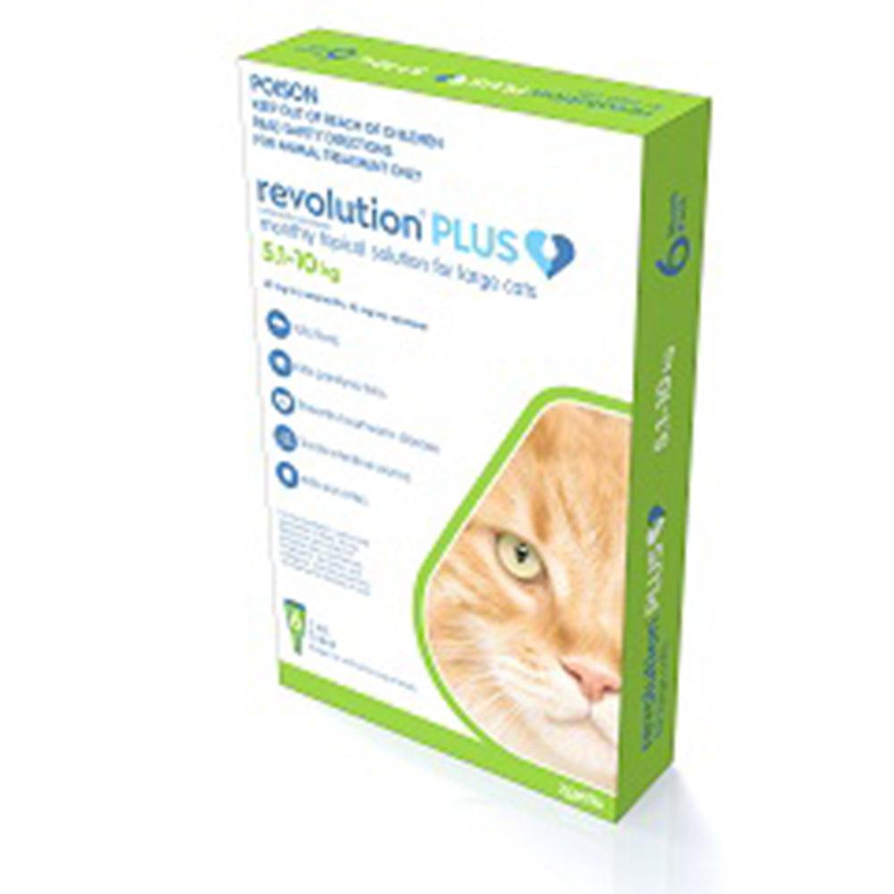 Revolution Cat Plus Large Cat 6Pk 5-10Kg