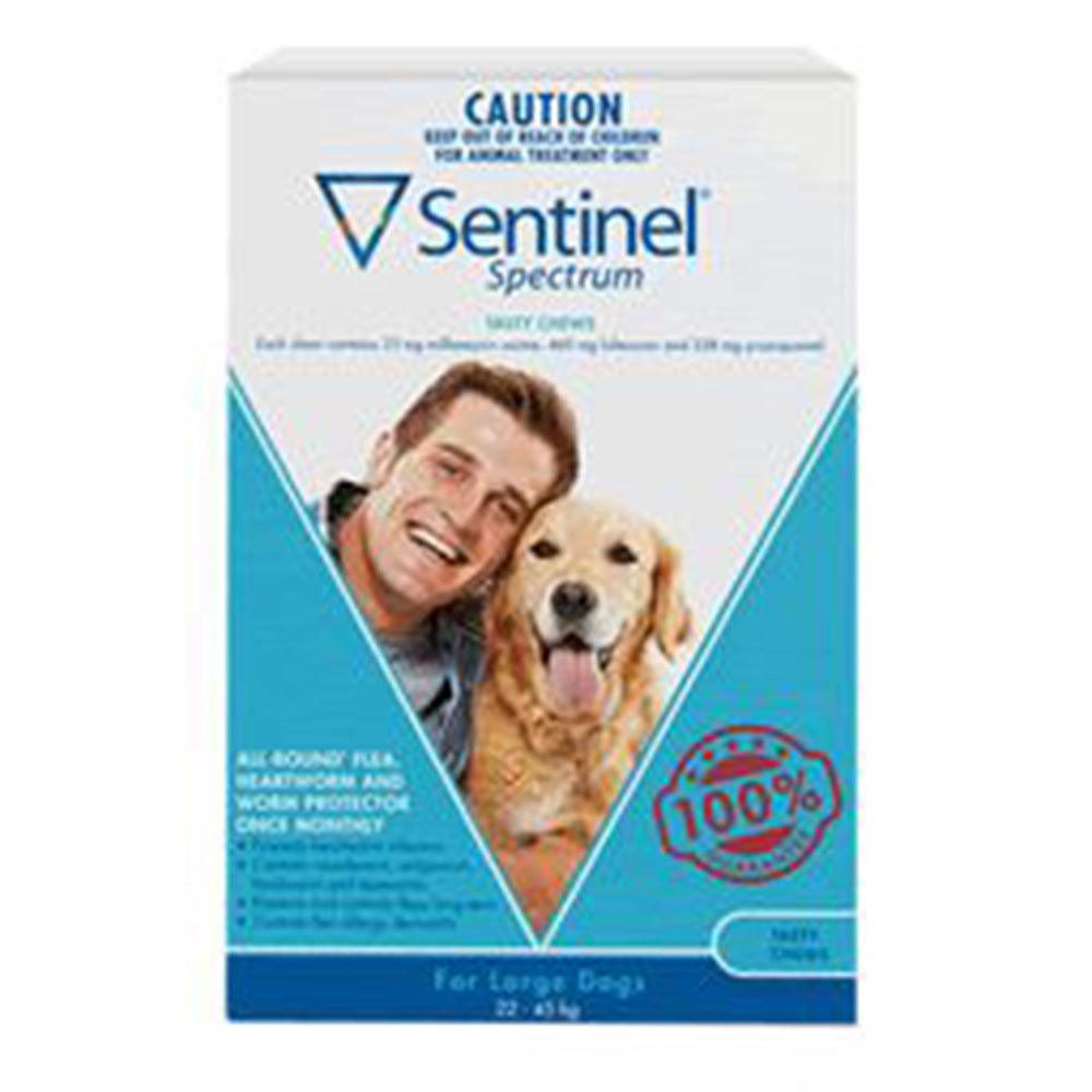 Sentinel Large Dog 22 - 45Kg Blue 3 Chews