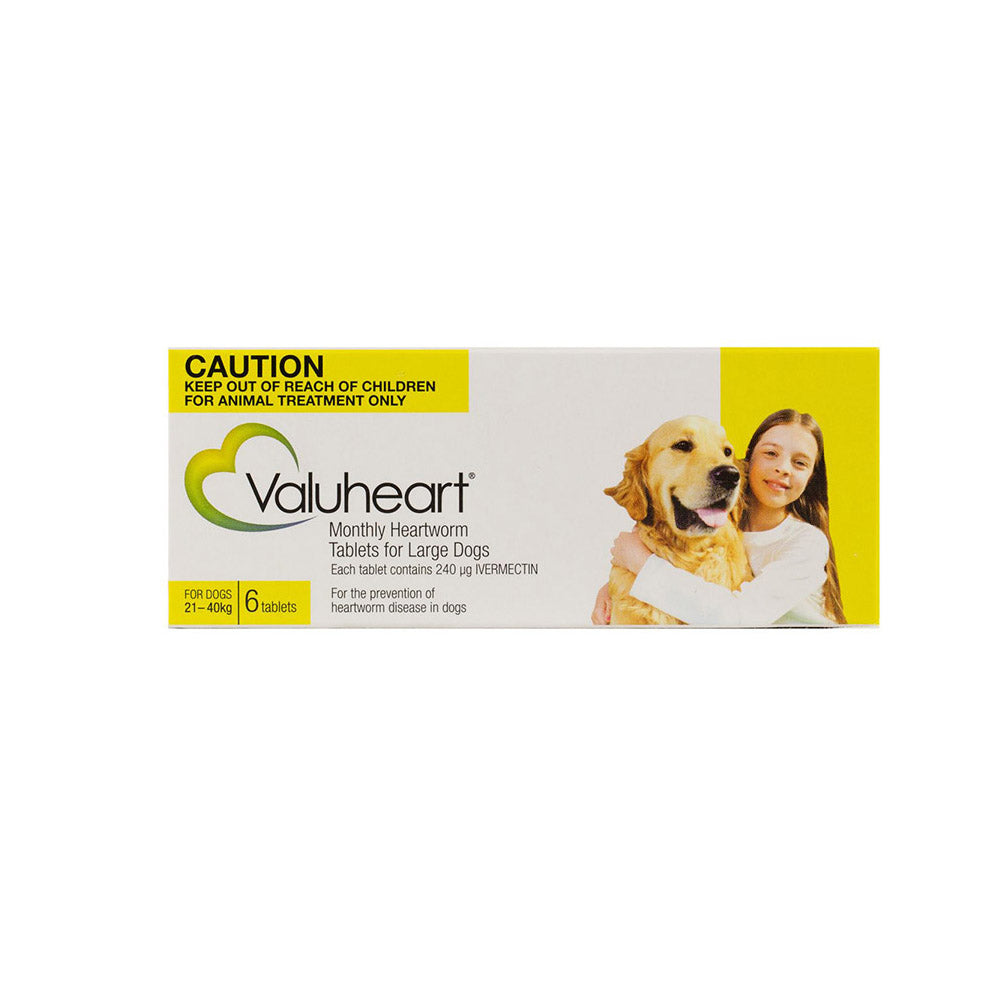 Valuheart Dog 21-40Kg - Gold 6S Large