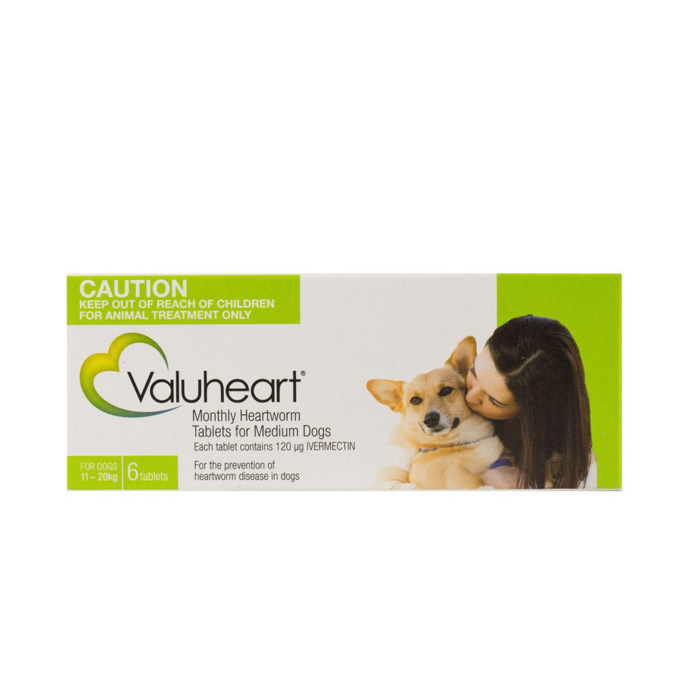 Valuheart Dog 11-20Kg - Green 6S Medium