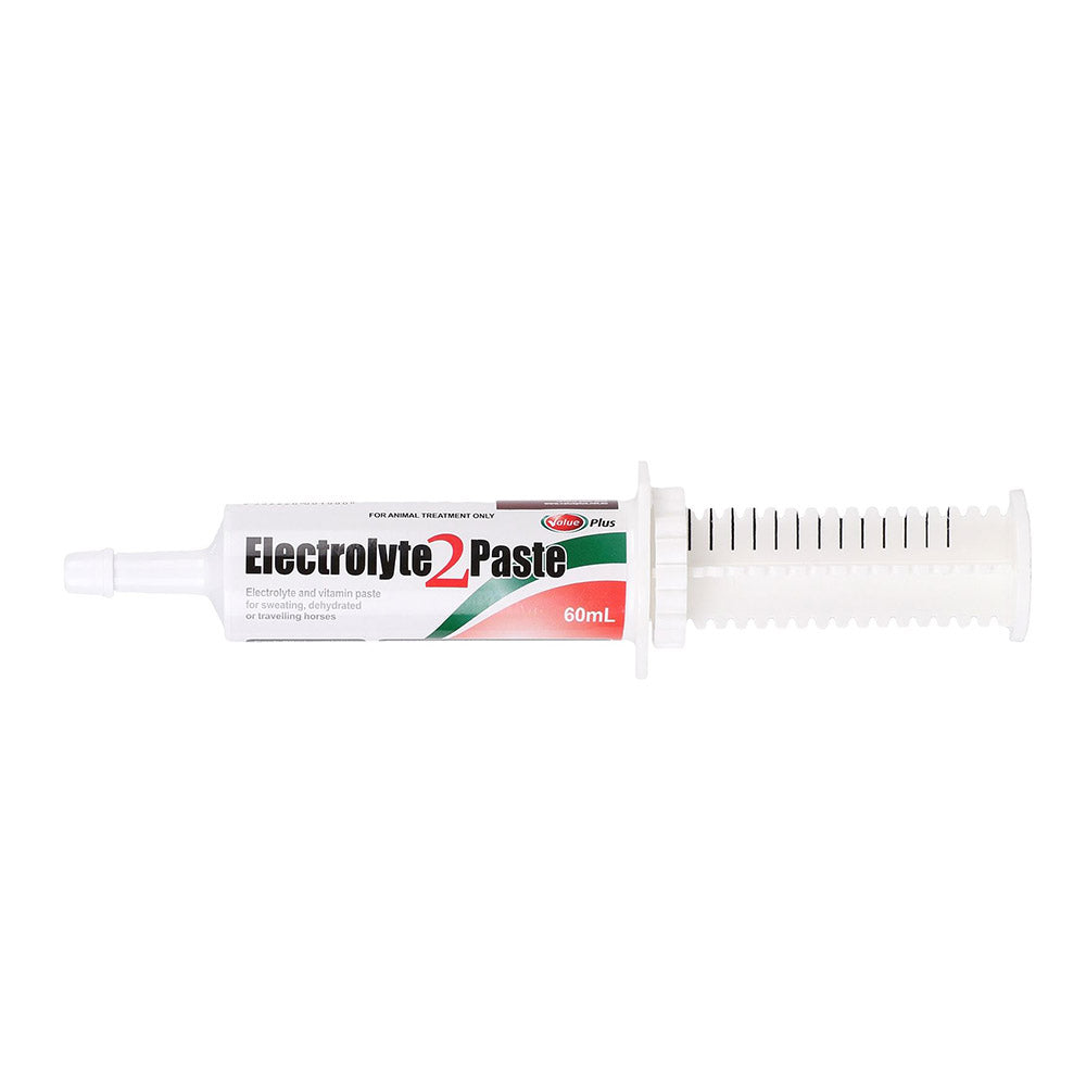 Value Plus Electrolyte 2 Paste 60Ml