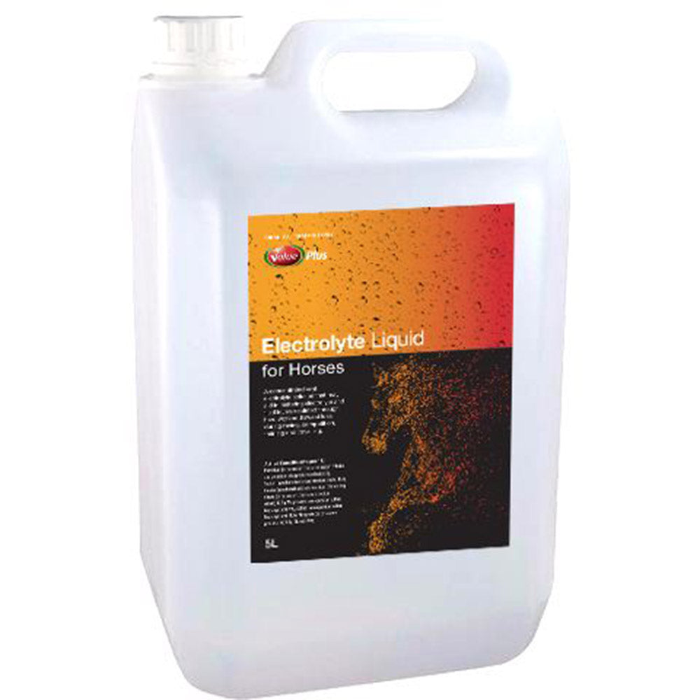 Value Plus Electrolyte Liquid For Horses 5L