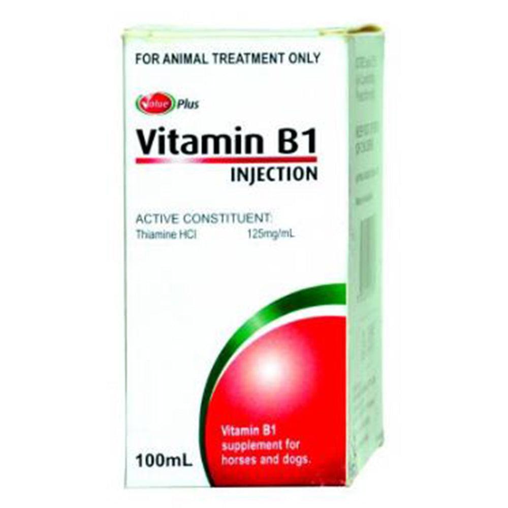 Value Plus Vitamin B1 100Ml