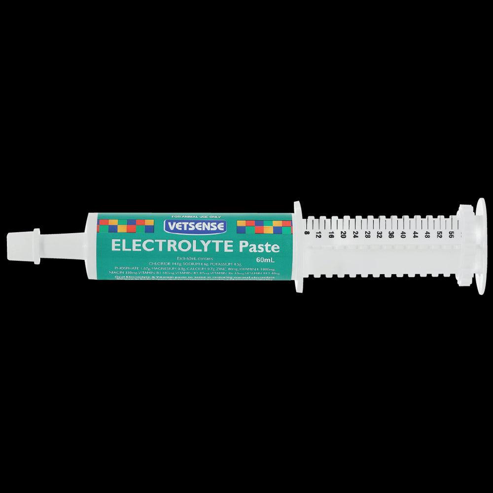 Vetsense Electrolyte Paste 60Ml